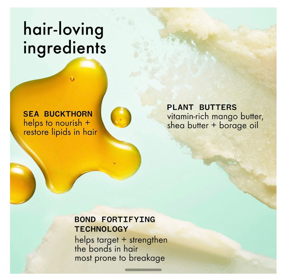 The Kure bond repair shampoo