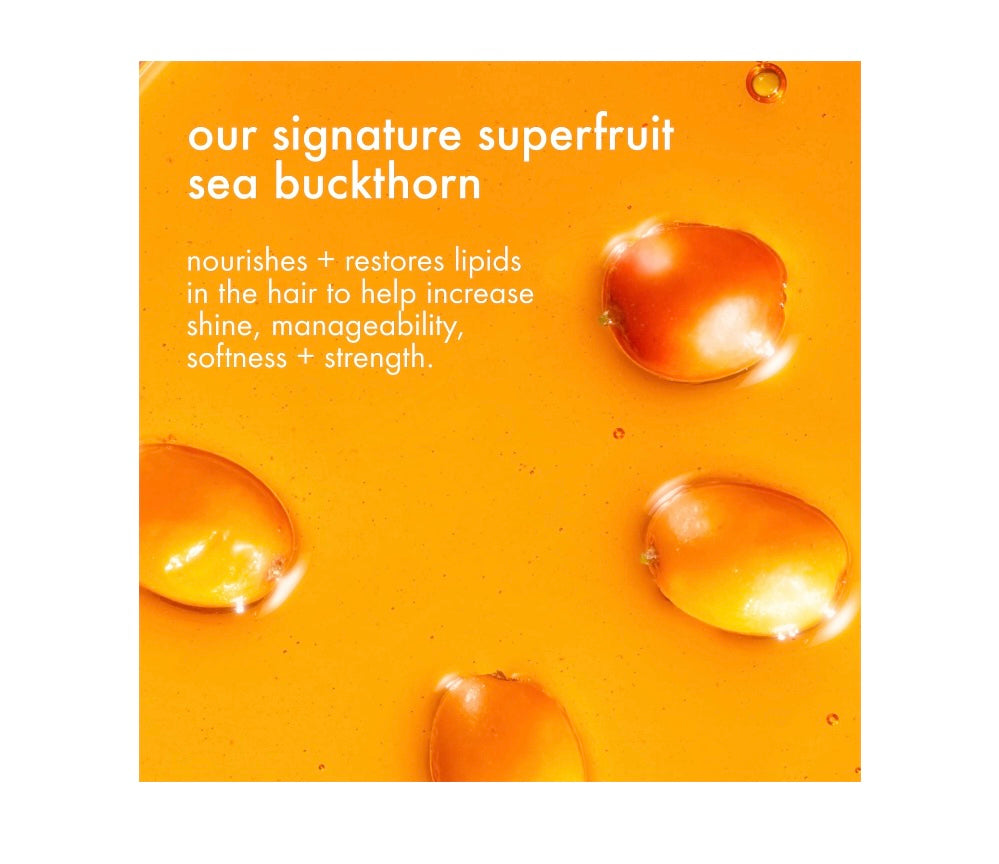 Normcore Signature Shampoo